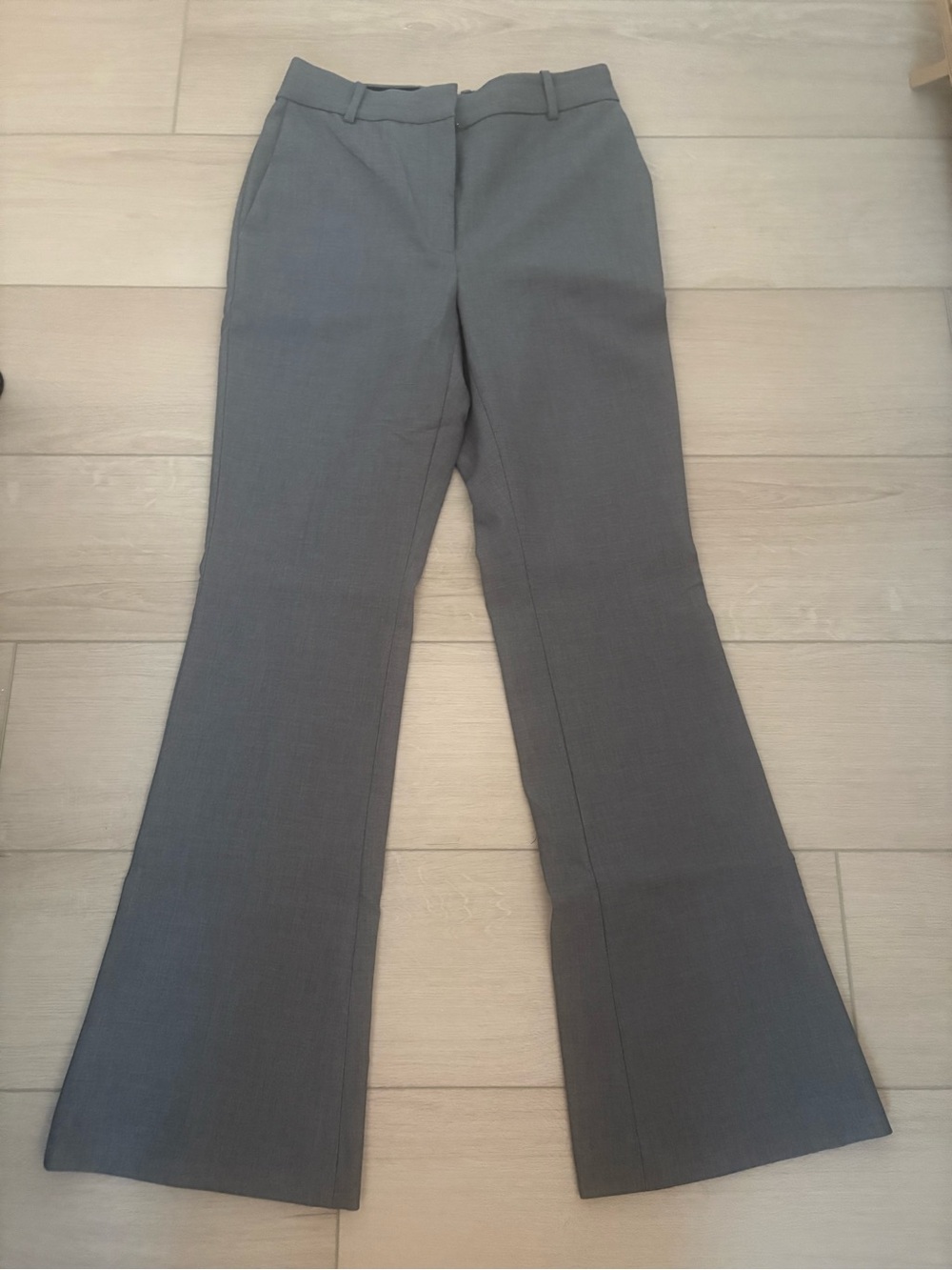 Aritzia Publish Pants